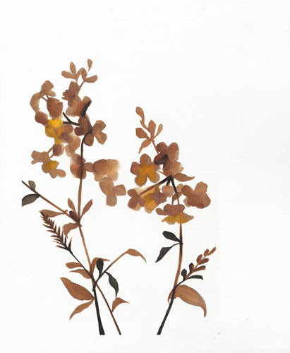 Compatible Blumen JAHRRIESNGE  for flowers-lpf07212 