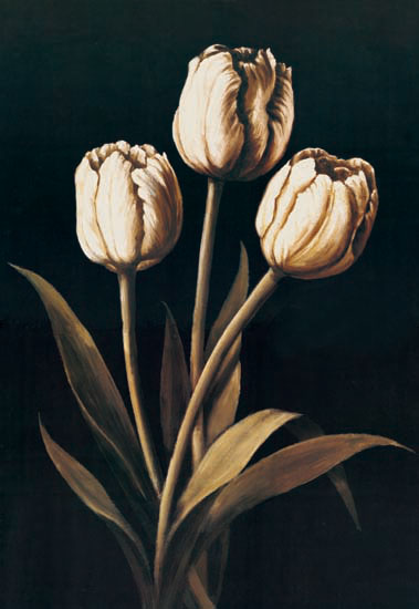 Compatible Blumen JAHRRIESNGE  for flowers-lpf07233 