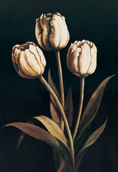 Compatible Blumen JAHRRIESNGE  for flowers-lpf07234 