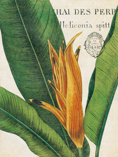 Compatible Blumen JAHRRIESNGE  for flowers-lpf07267 