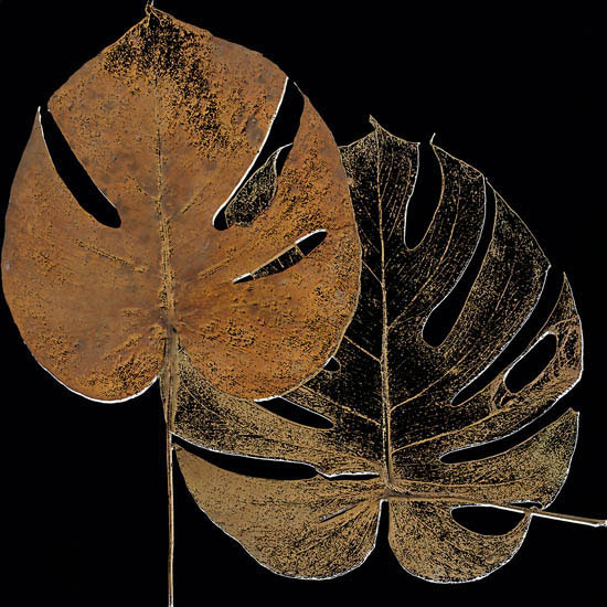 Compatible Blumen JAHRRIESNGE  for leaf-lpf07350 