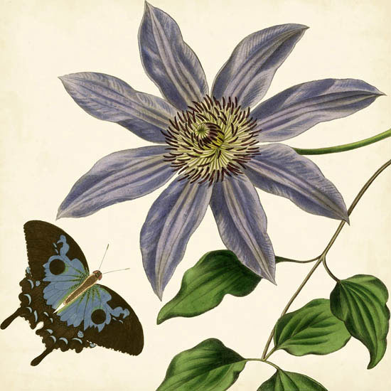 Compatible Blumen JAHRRIESNGE  for flowers-lpf07413 