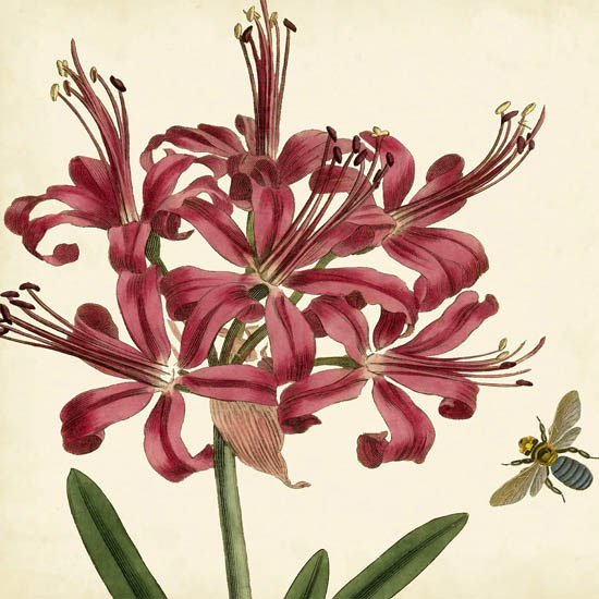 Compatible Blumen JAHRRIESNGE  for flowers-lpf07414 