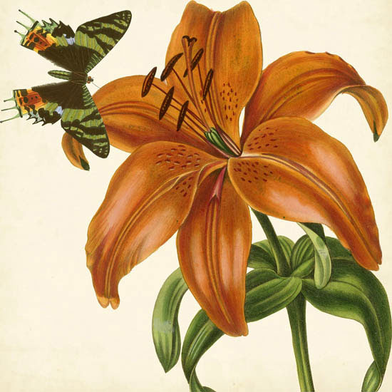 Compatible Blumen JAHRRIESNGE  for flowers-lpf07415 