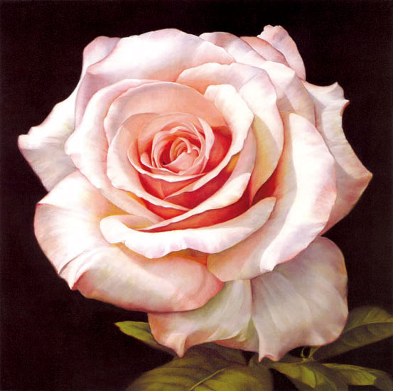 Compatible Blumen JAHRRIESNGE  for flowers-lpf07538 