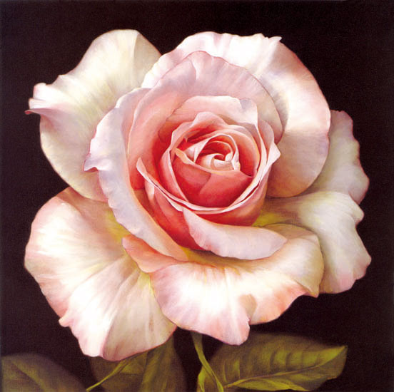 Compatible Blumen JAHRRIESNGE  for flowers-lpf07539 