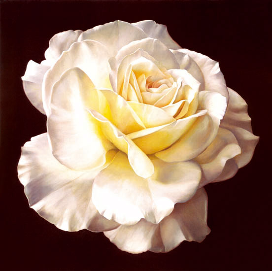 Compatible Blumen JAHRRIESNGE  for flowers-lpf07540 