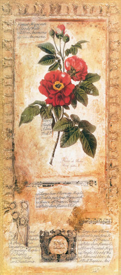 Compatible Blumen JAHRRIESNGE  for flowers lpf07723 