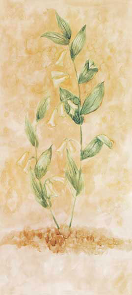 Compatible Blumen JAHRRIESNGE  for flowers lpf07741 