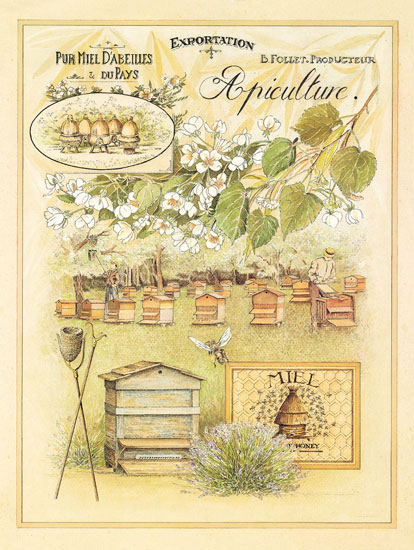 Compatible Blumen JAHRRIESNGE  for flowers lpf08001 