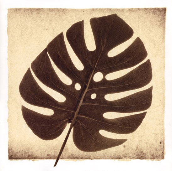 Compatible Blumen JAHRRIESNGE  for leaf lpf08074 