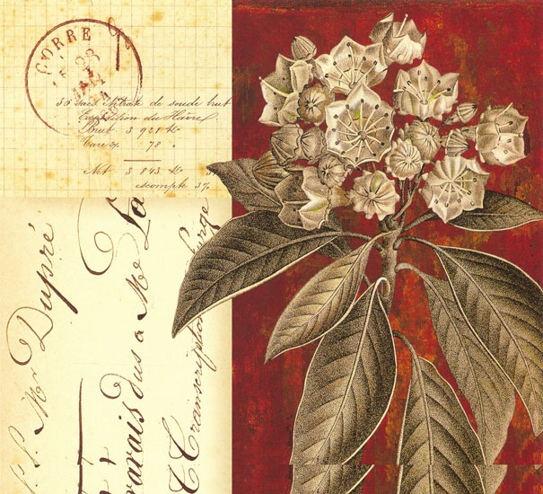 Compatible Blumen JAHRRIESNGE  for flowers lpf08130 