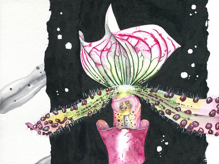 Compatible Blumen JAHRRIESNGE  for flowers lpf08144 