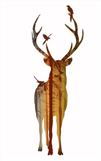 Compatible Tiere Jahrriesnge  for deer lpf08620 