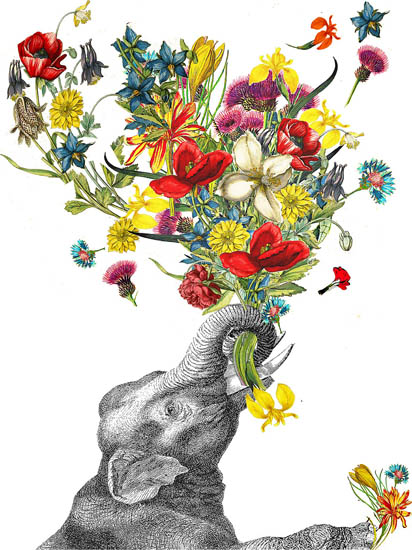 Compatible Tiere Jahrriesnge  for elephant lpf08638 