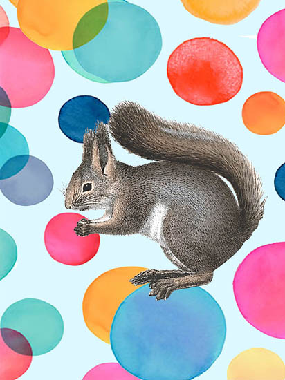 Compatible Tiere Jahrriesnge  for squirrel lpf08643 