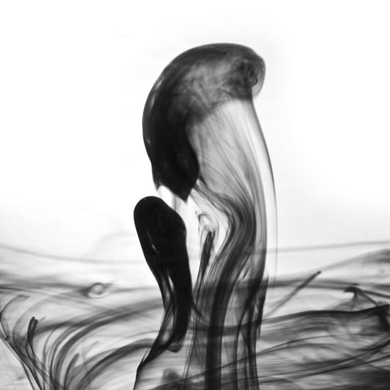 Compatible Landschaft JAHRRIESNGE  for untitle lpf09511 