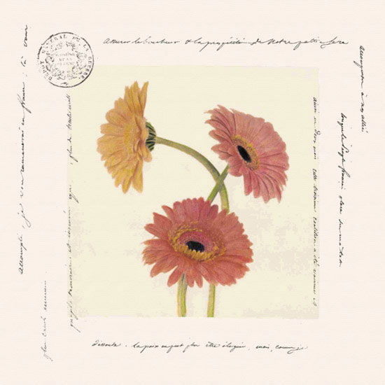 Compatible Blumen JAHRRIESNGE  for flowers lpf09642 