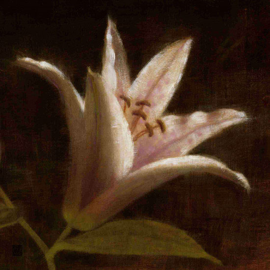 Compatible Blumen JAHRRIESNGE  for flowers lpf09818 