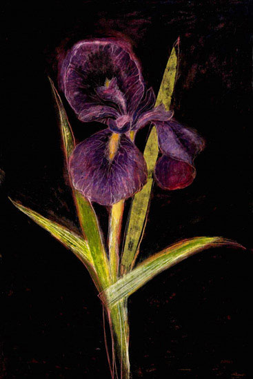 Compatible Blumen JAHRRIESNGE  for flowers lpf09830 