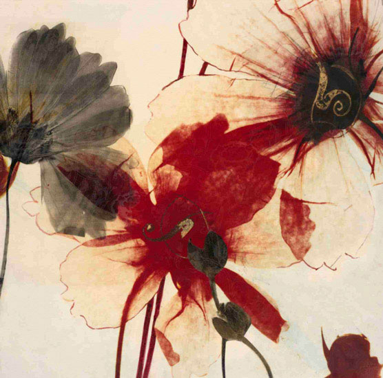 Compatible Blumen JAHRRIESNGE  for flowers lpf09870 