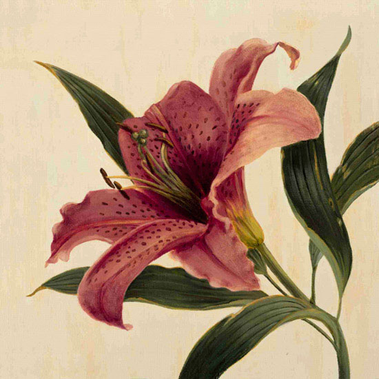 Compatible Blumen JAHRRIESNGE  for flowers lpf09938 