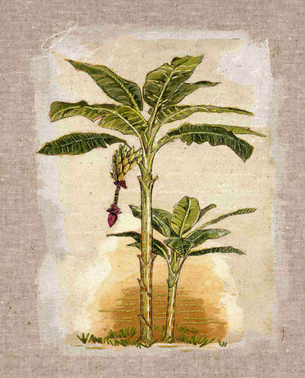 Compatible Blumen JAHRRIESNGE  for tree lpf09958 