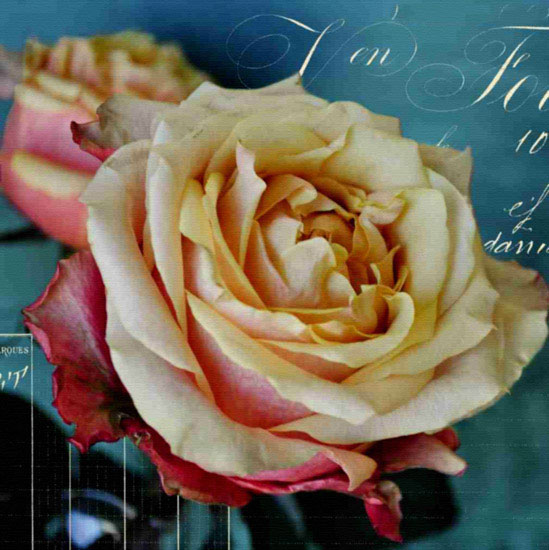 Compatible Blumen JAHRRIESNGE  for flowers lpf10018 