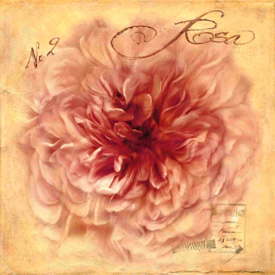 Compatible Blumen JAHRRIESNGE  for flowers lpf10125 