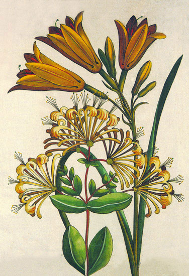 Compatible Blumen JAHRRIESNGE  for flowers lpf10189 