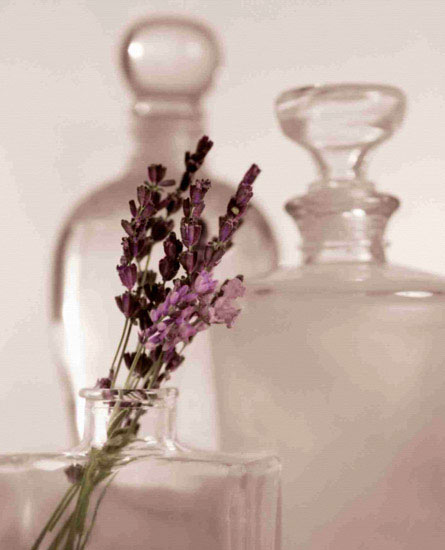 Compatible Blumen JAHRRIESNGE  for flowers lpf10207 