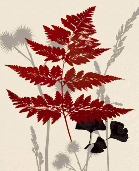 Compatible Blumen JAHRRIESNGE  for leaves lpf10283 