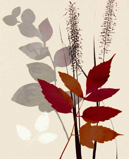 Compatible Blumen JAHRRIESNGE  for leaves lpf10286 