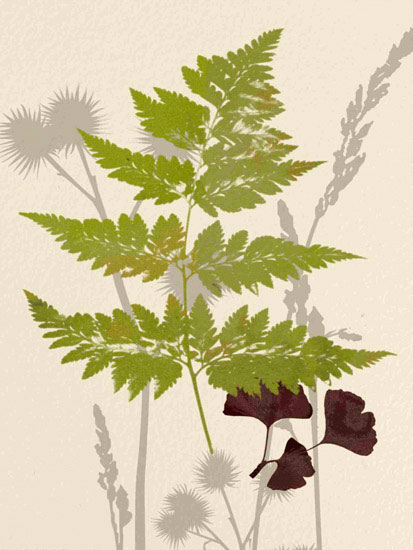 Compatible Blumen JAHRRIESNGE  for leaves lpf10290 