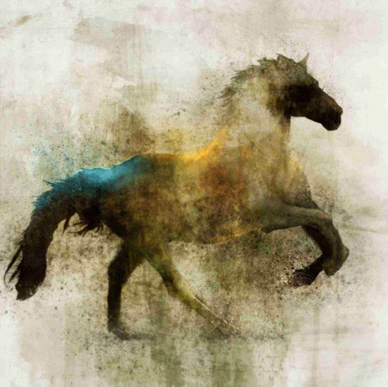 Compatible Tiere Jahrriesnge  for horse lpf10531 