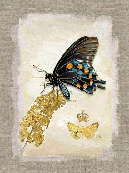 Compatible Tiere Jahrriesnge  for butterfly lpf10611 