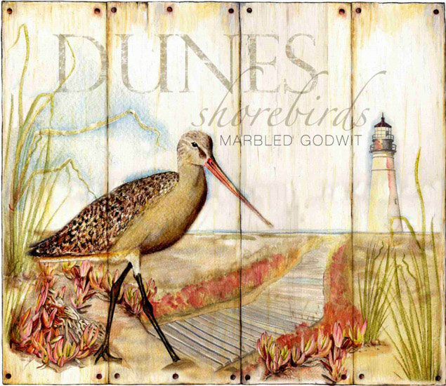 Compatible Tiere Jahrriesnge  for toucan lpf10637 