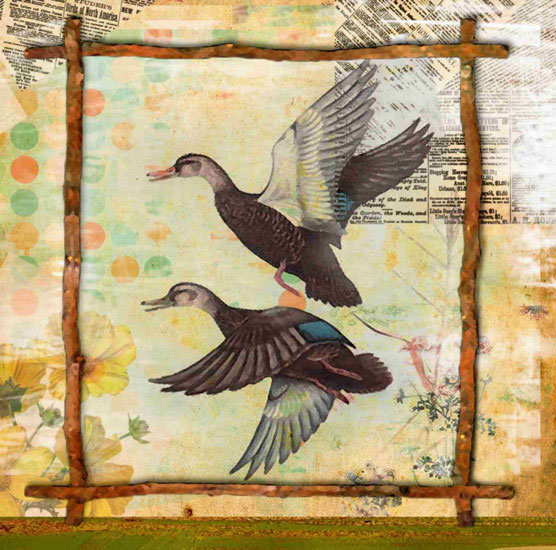 Compatible Tiere Jahrriesnge  for birds lpf10642 