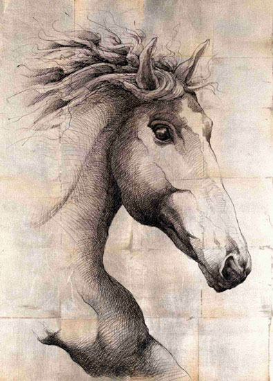 Compatible Tiere Jahrriesnge  for horse lpf10650 