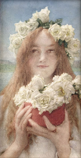 Compatible Porträt Jahrriesnge  for noble lpf11636 