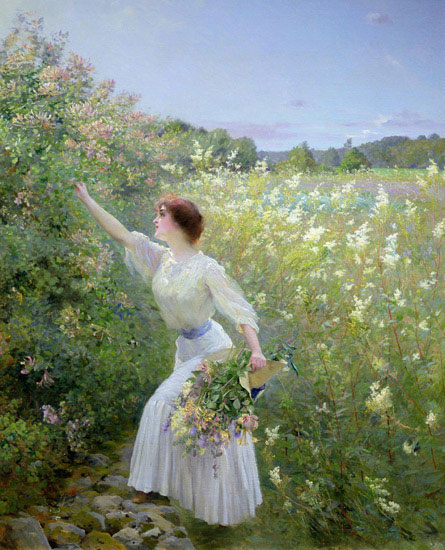 Compatible Porträt Jahrriesnge  for outdoor lpf12711 