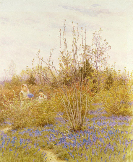 Compatible Porträt Jahrriesnge  for outdoor lpf12714 