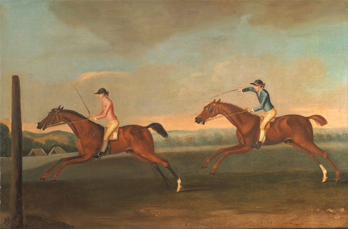 Compatible Porträt Jahrriesnge  for outdoor lpf12846 