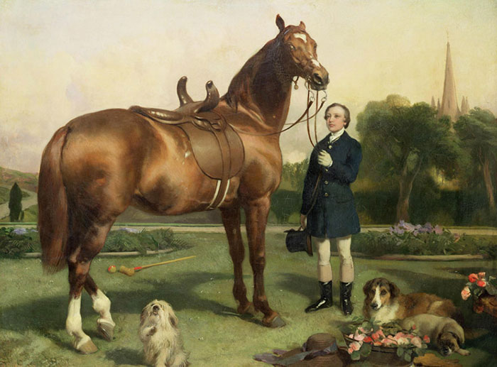 Compatible Porträt Jahrriesnge  for outdoor lpf12850 