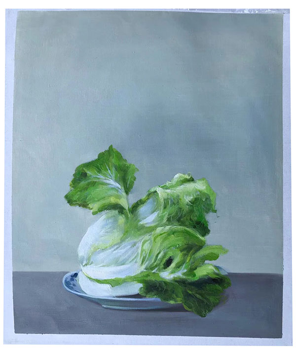 Compatible Stillleben Jahrriesnge  for cabbage-lpg0803 