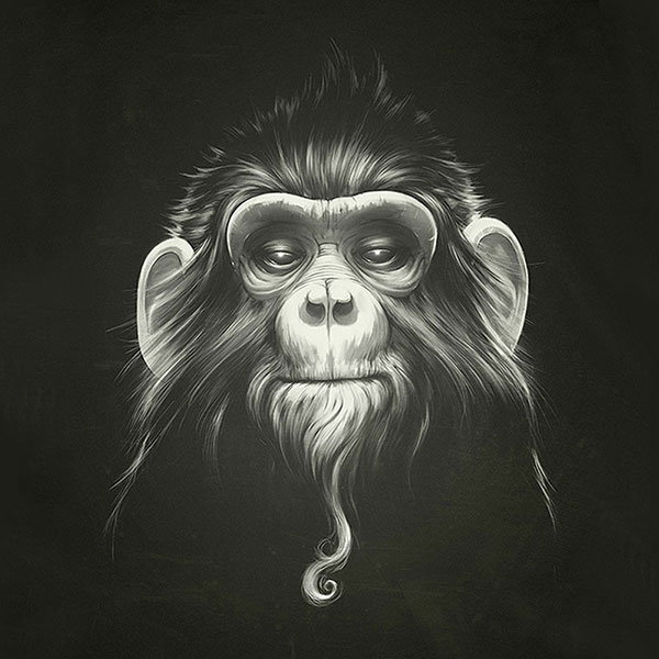 Compatible Tiere Jahrriesnge  for monkey-lpg1628 