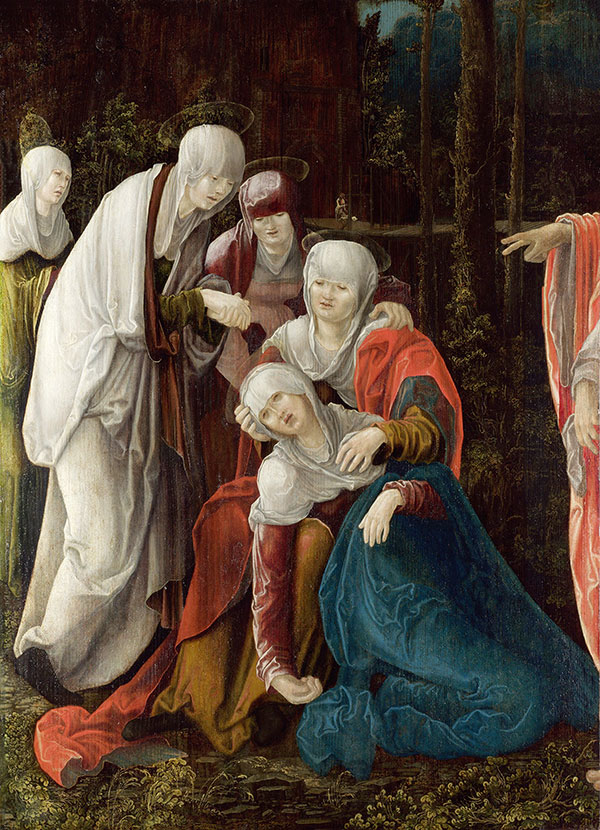 Compatible Porträt Jahrriesnge  for untitle lpg2210 