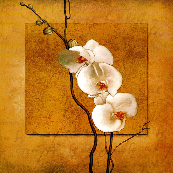 Compatible Stillleben Jahrriesnge  for flowers lpg2555 